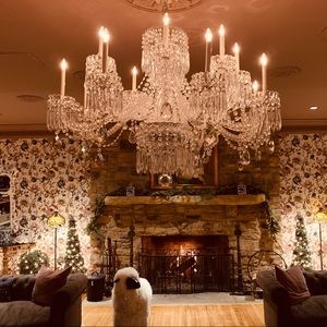 Meet your Posher, Brookes